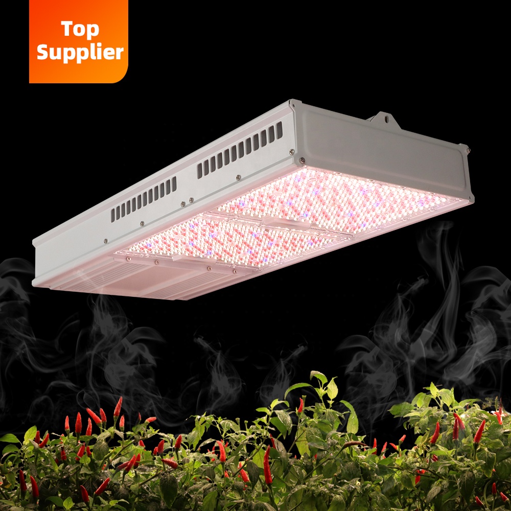 Grow Light Led - Kostengünstige 600W 800W Toplight Vollspektrum LED-Pflanzenlampe