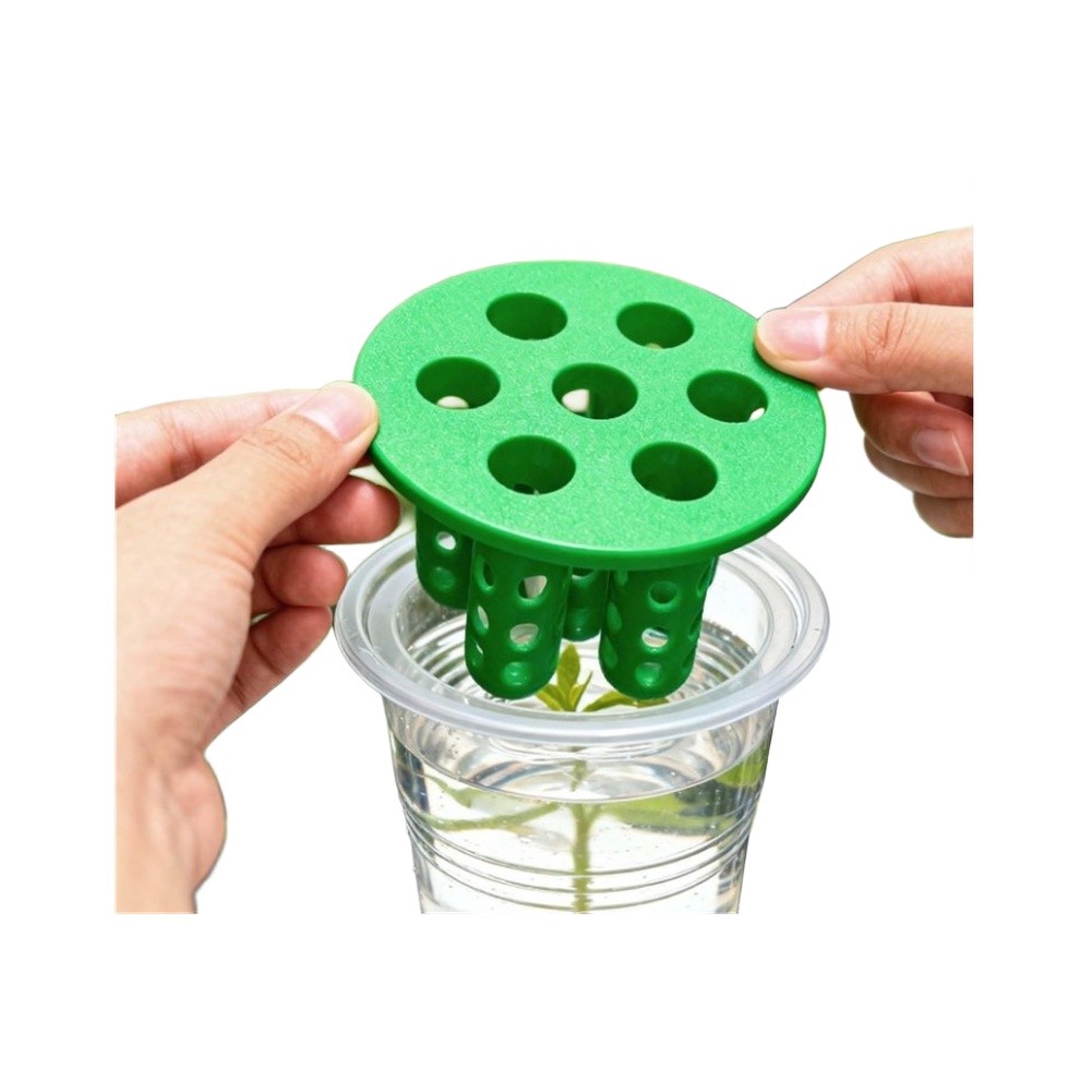 Hydroponic Kit - 4 Stück Grüne-Zwiebel-Nachzuchtsets: Anzuchtbehälter für Grüne