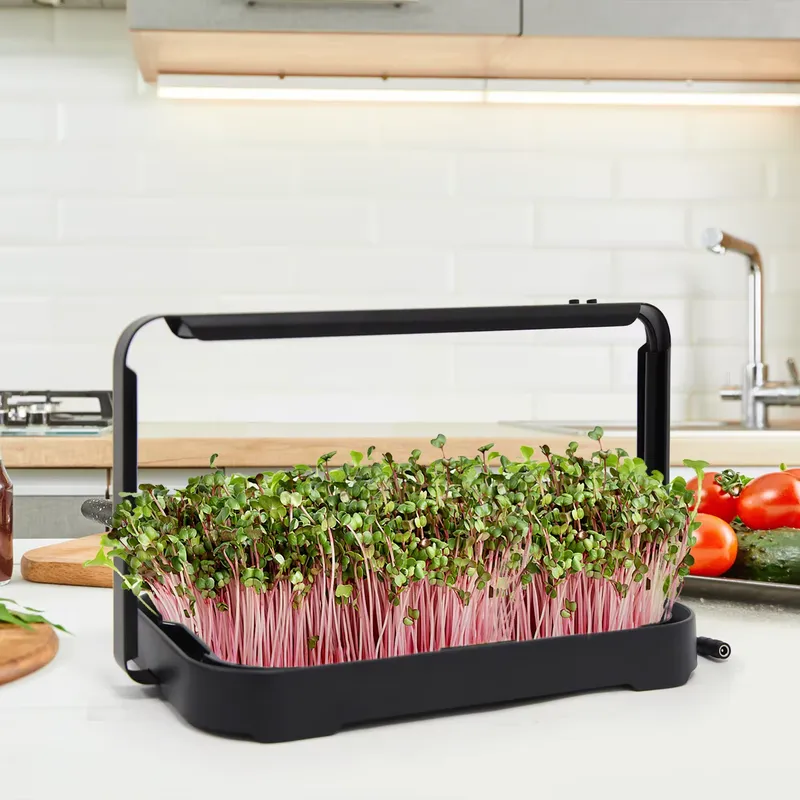 Hydroponic Kit - Hydroponisches Anzuchtsystem für den Innenbereich, Microgreen-Saatgut,
