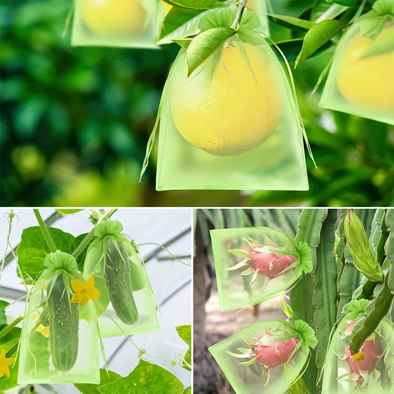 100 Stück grüne Schutztaschen  – Grow Bag Bewertung und Preis