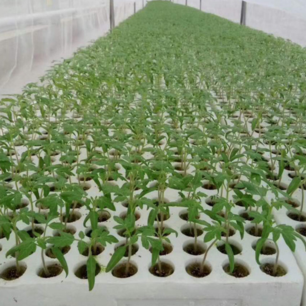 40 Stück Hydrokultur-Wollwürfe – Hydroponic Kit Bewertung und Preis