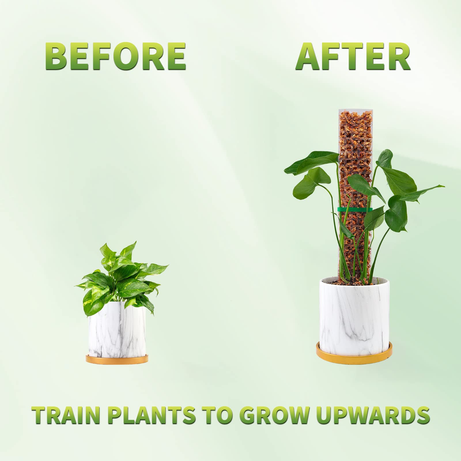 Moosstangen, Pflanzen, Pflanze – Indoor Herb Garden Bewertung und Preis