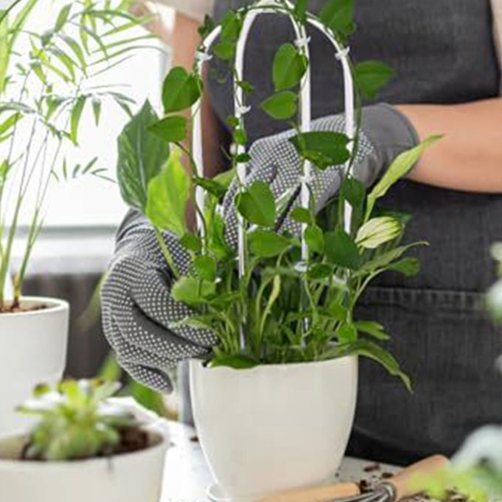 2 stücke Acryl U-förmigen Anla – Indoor Herb Garden Bewertung und Preis
