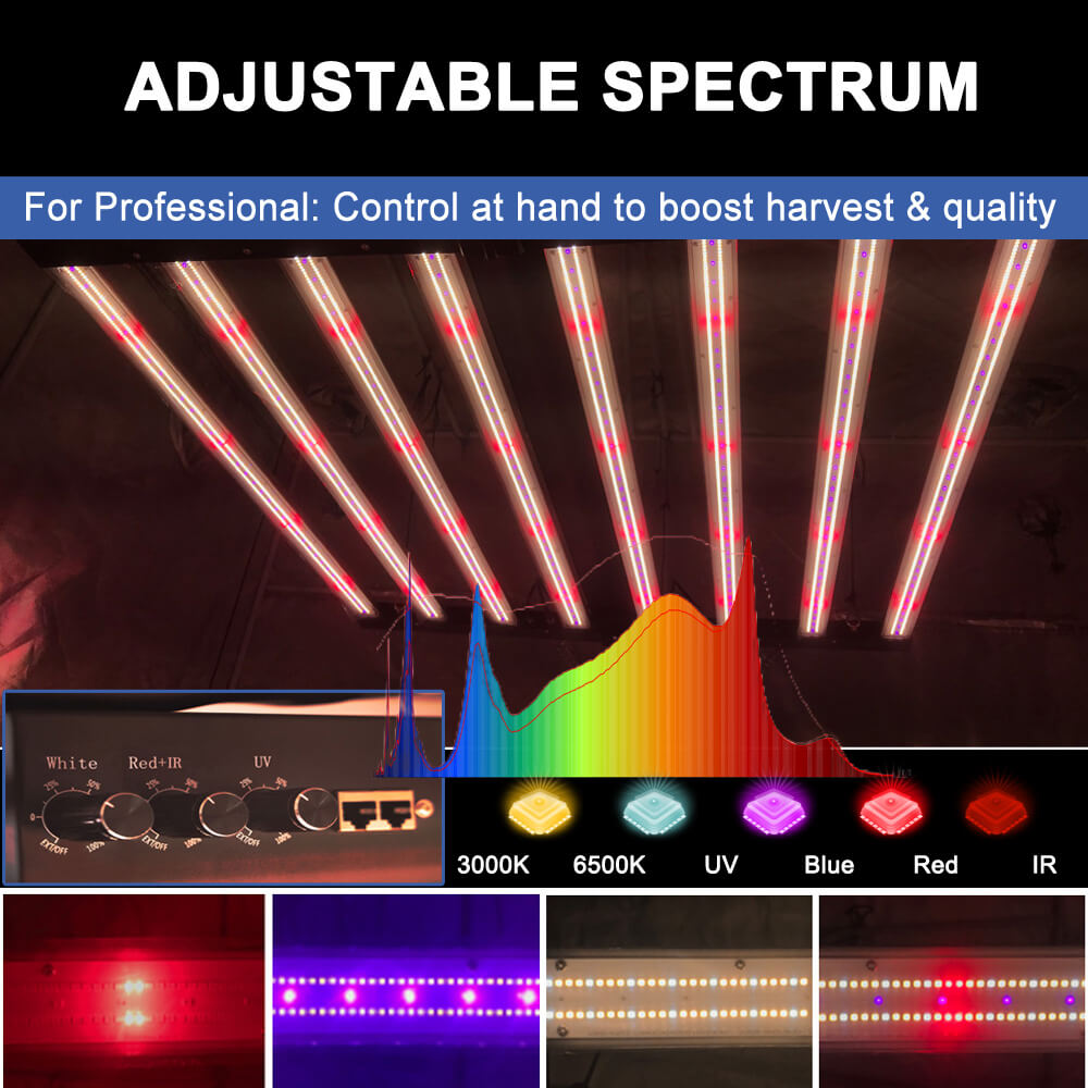 US-Lagerbestand PPFD 2800 Umol – Grow Light Led Bewertung und Preis