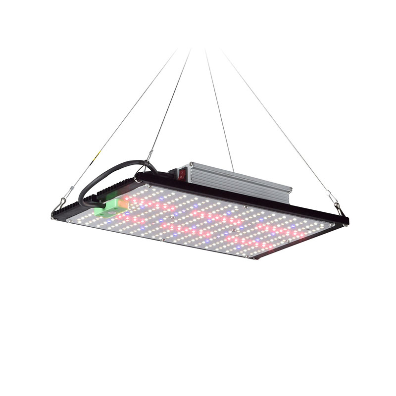 LED-Quantum-Board-Pflanzenlamp – Grow Light Led Bewertung und Preis