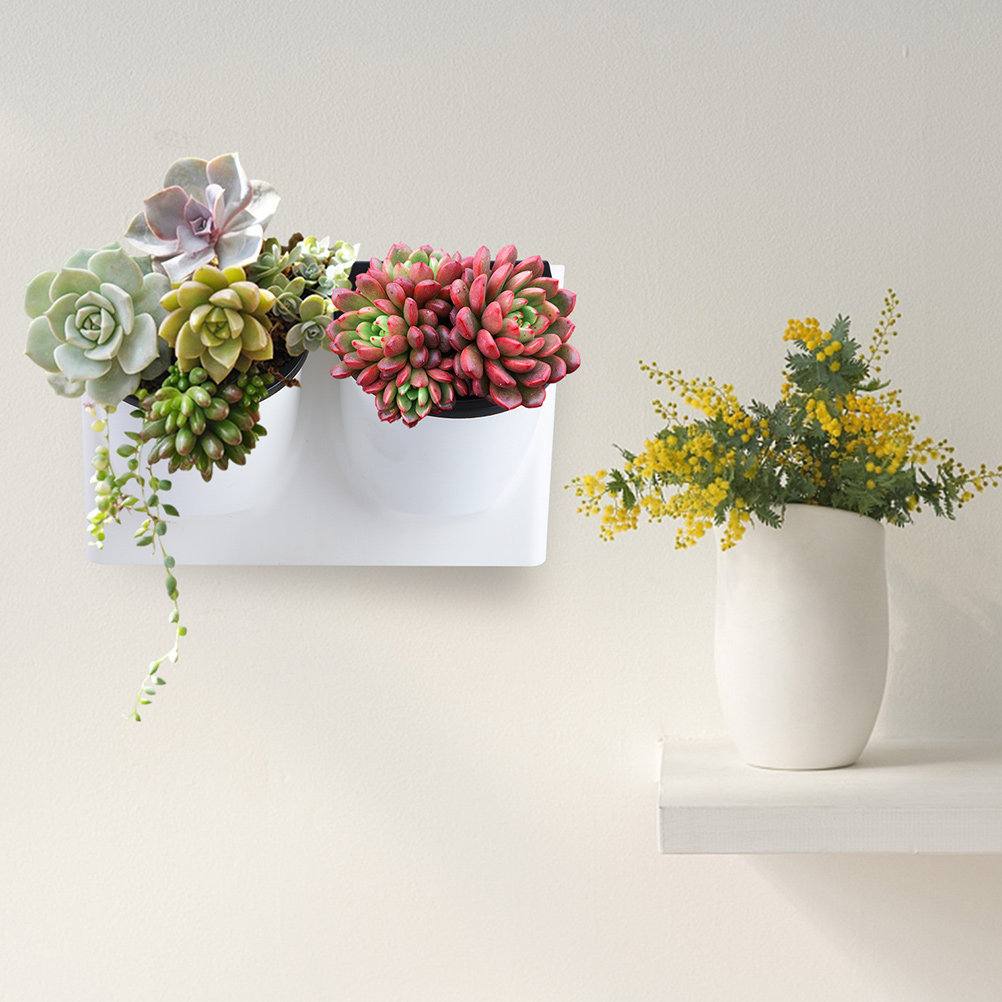 Selbstbewässernder Blumentopf  – Self Watering Planter Bewertung und Preis