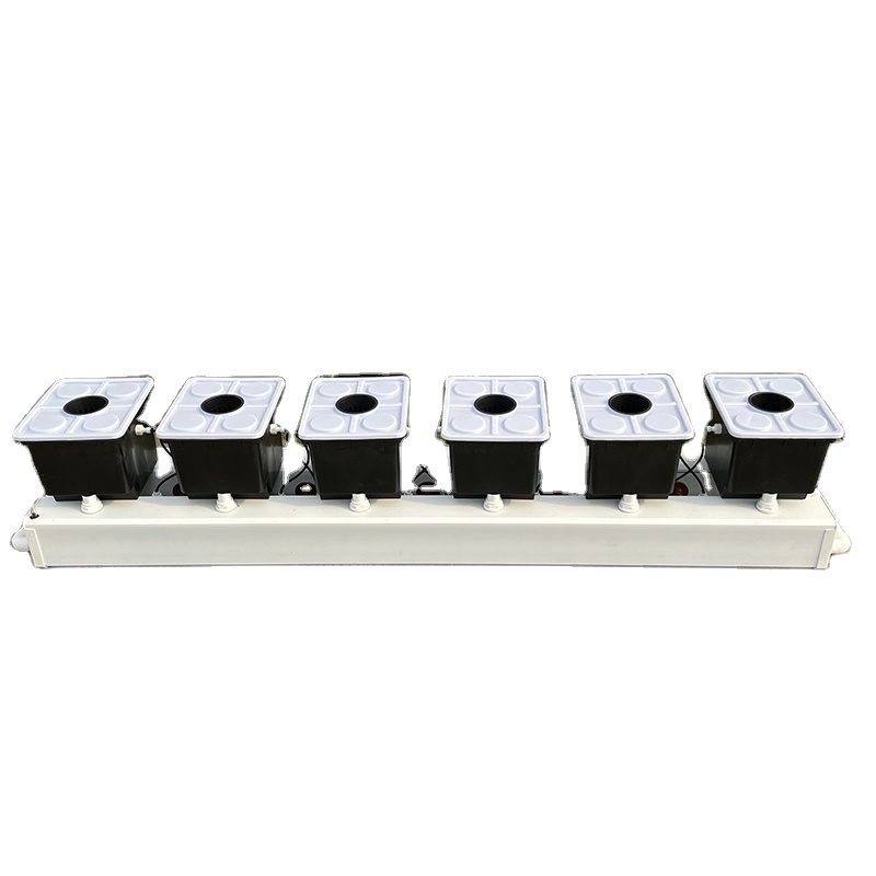 Niederländisches Eimer-Hydropo – Hydroponic Kit Bewertung und Preis