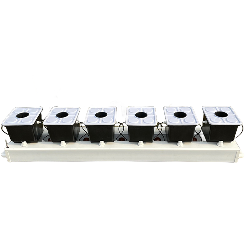Niederländisches Eimer-Hydropo – Hydroponic Kit Bewertung und Preis