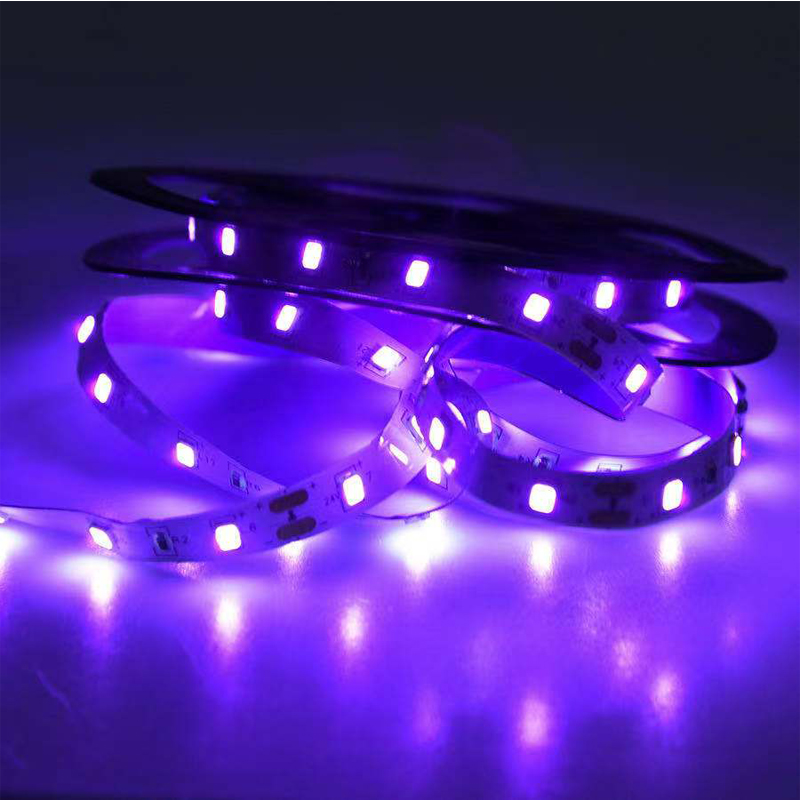 UV-LED-UV-Licht, schwarze UV-L – Grow Light Led Bewertung und Preis