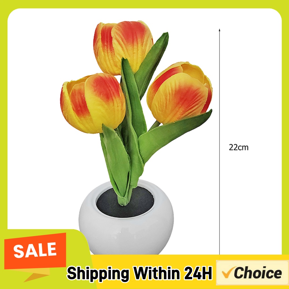 9x22cm Tischlampe mit Topfpfla – Plant Pot Bewertung und Preis