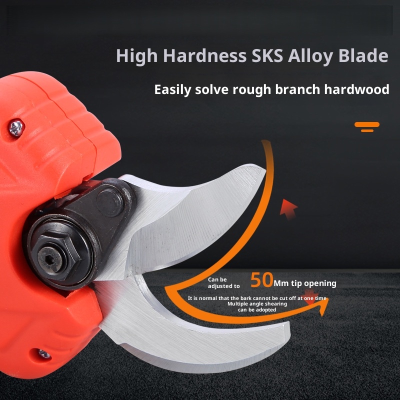 Erweiterte teleskopische elekt – Pruning Shears Bewertung und Preis
