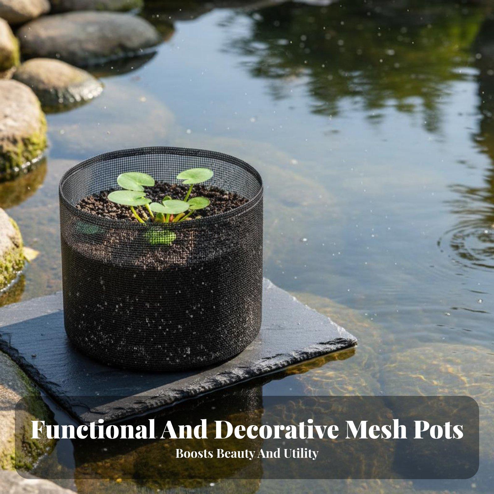 4-teilige Wasserlilien-Pflanzg – Plant Pot Bewertung und Preis