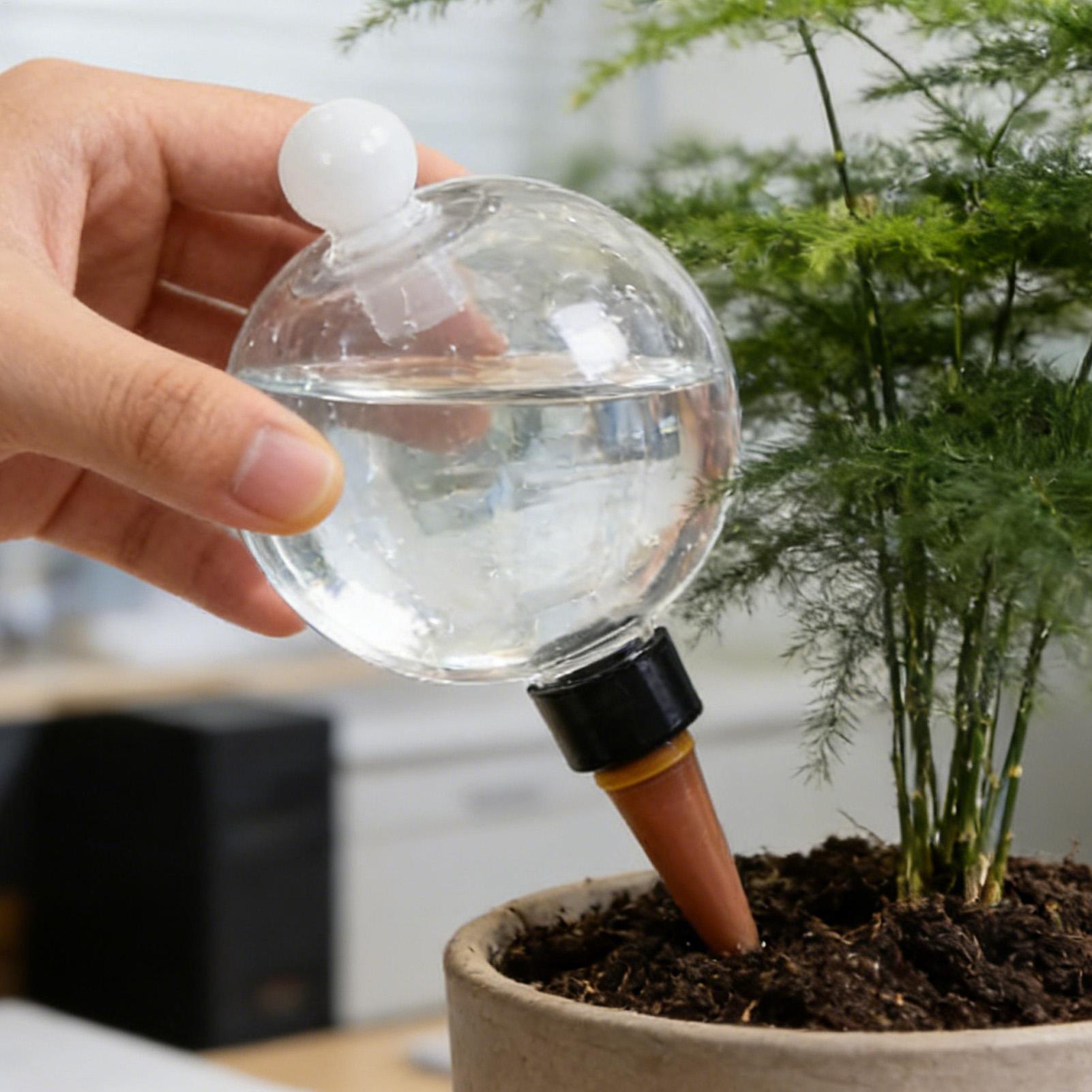 Pflanzenbewässerungskugeln, 4  – Self Watering Planter Bewertung und Preis