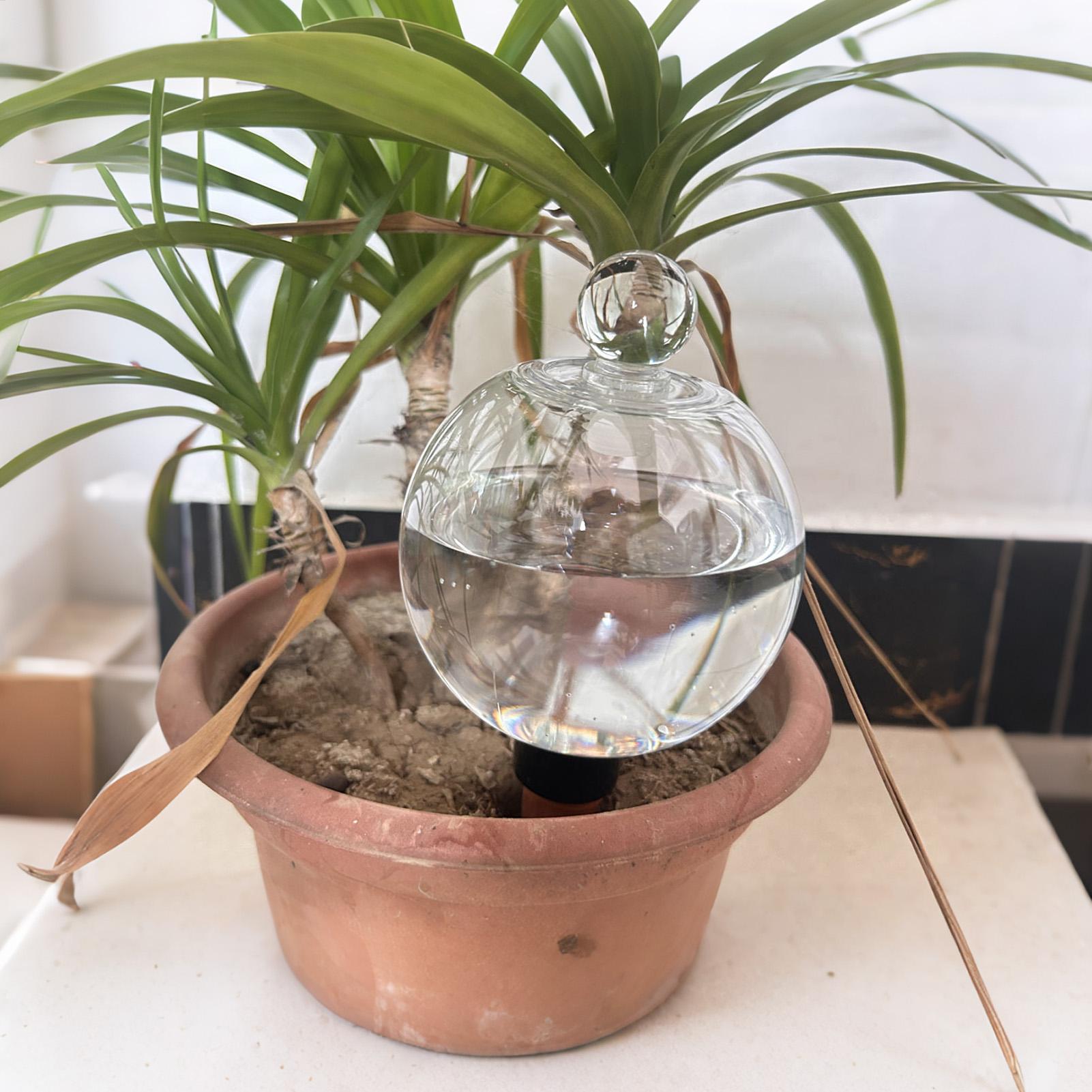 Pflanzenbewässerungskugeln, 4  – Self Watering Planter Bewertung und Preis