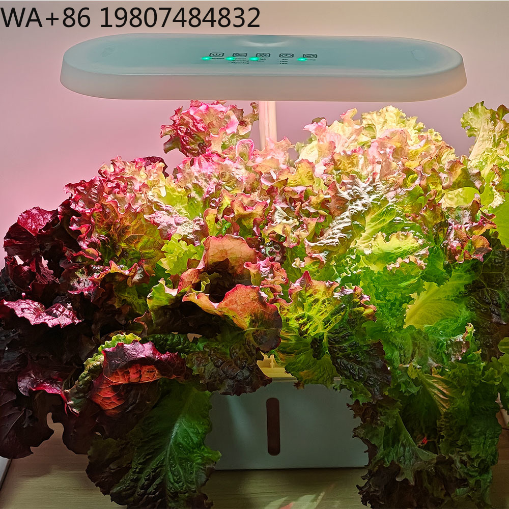 8-Loch-Silent-Zirkulations-Soi – Hydroponic Kit Bewertung und Preis
