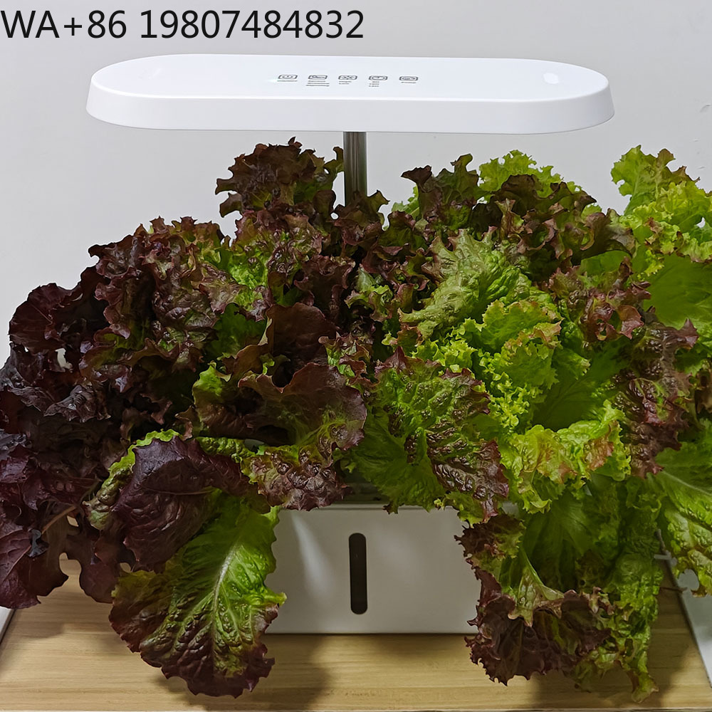 8-Loch-Silent-Zirkulations-Soi – Hydroponic Kit Bewertung und Preis