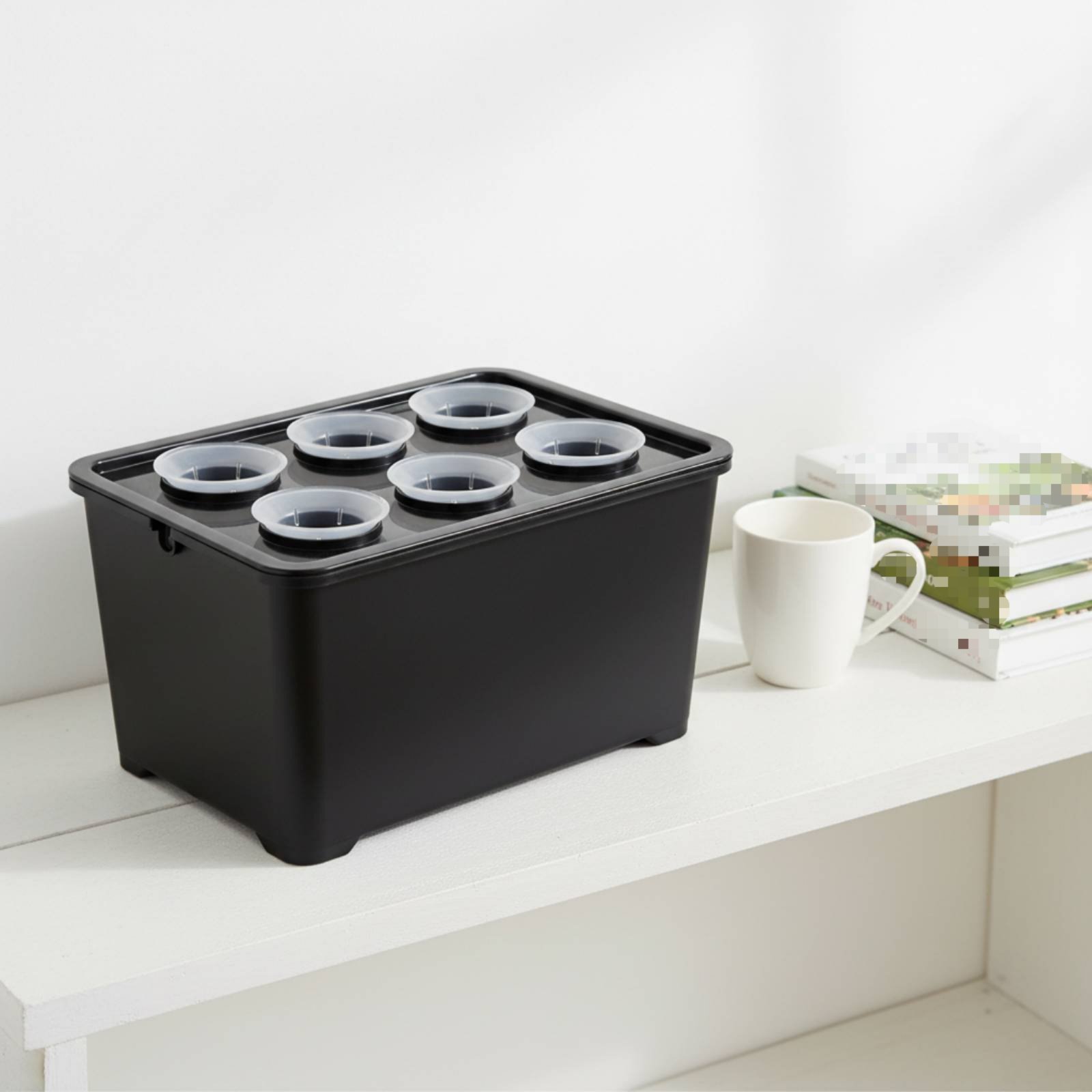 Hydroponische Pflanzbox Sonnen – Hydroponic Kit Bewertung und Preis