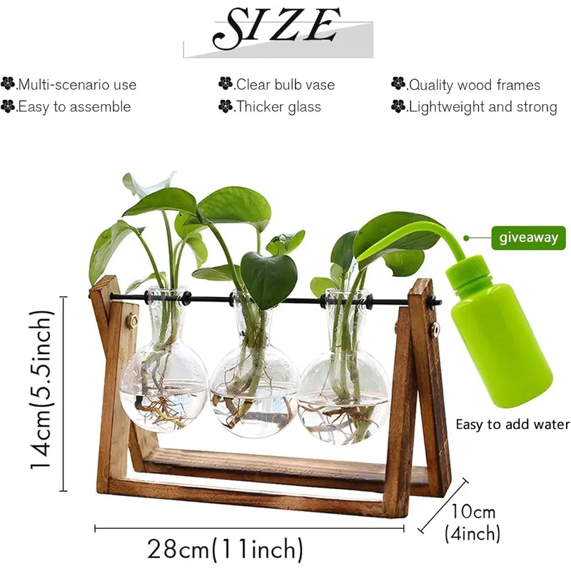 Hydroponisches Pflanzenterrari – Hydroponic Kit Bewertung und Preis