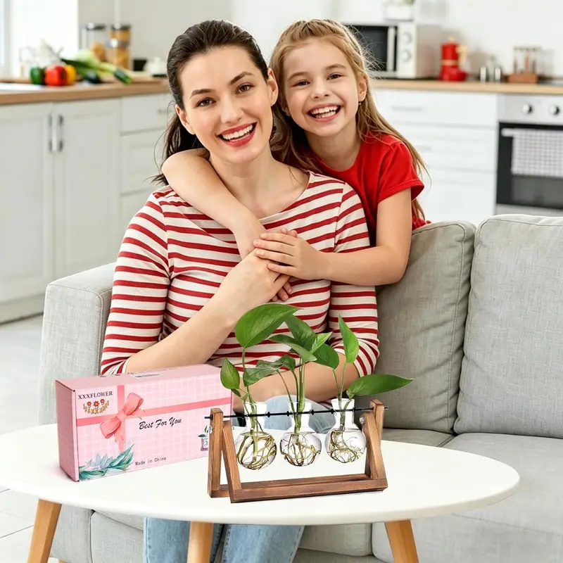 Hydroponisches Pflanzenterrari – Hydroponic Kit Bewertung und Preis