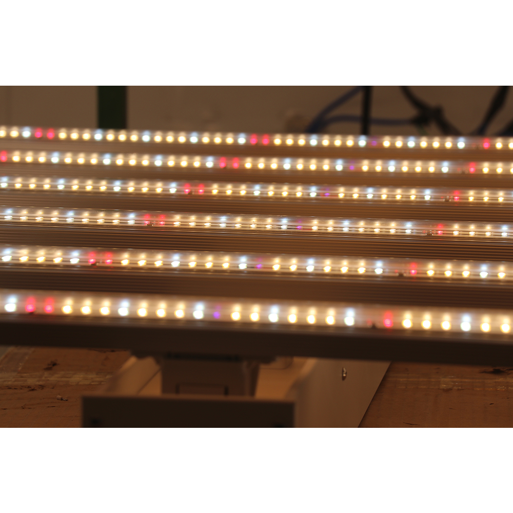 2023 Dropshipping Direktvertri – Grow Light Led Bewertung und Preis