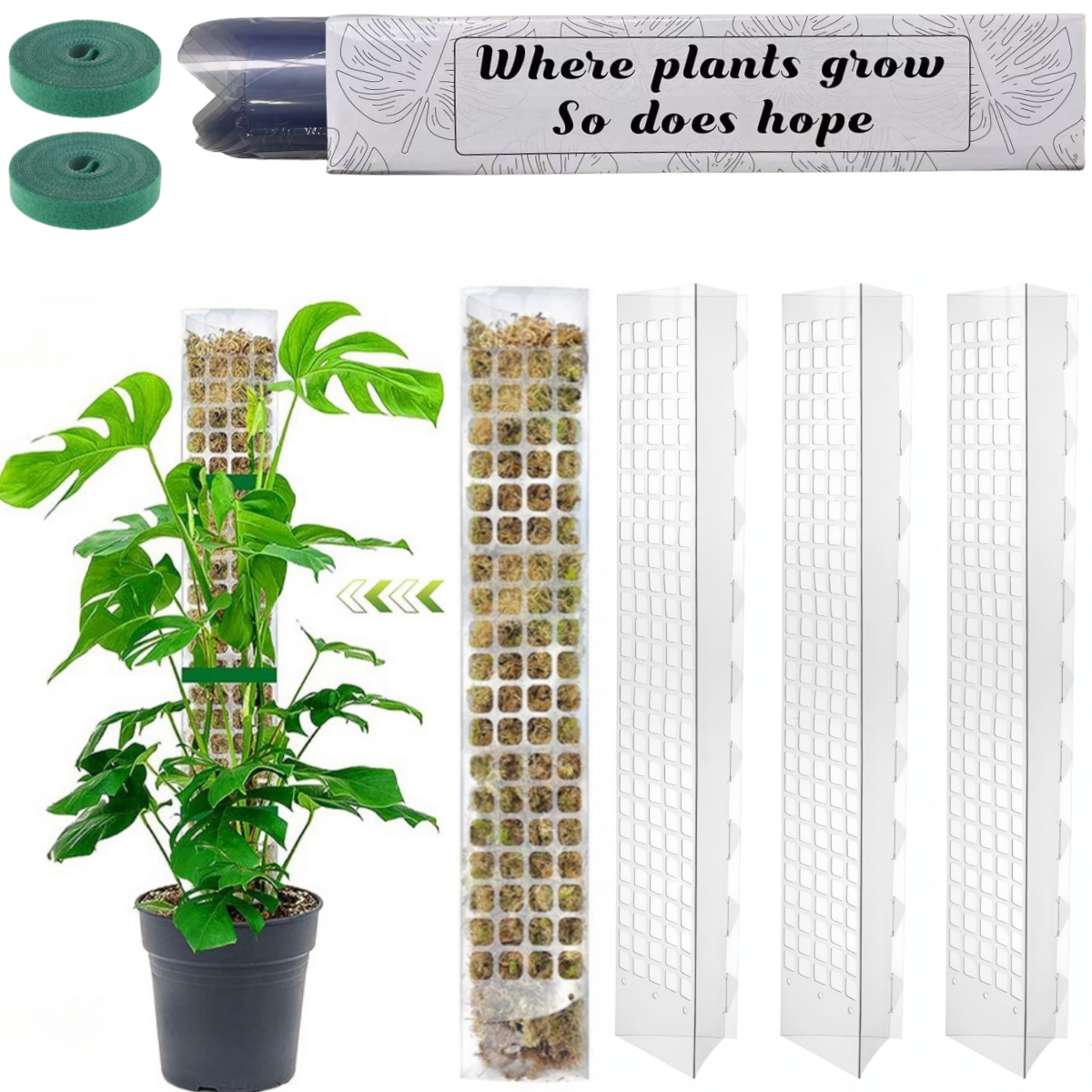 Moos Pole Kunststoff Pflanzens – Indoor Herb Garden Bewertung und Preis