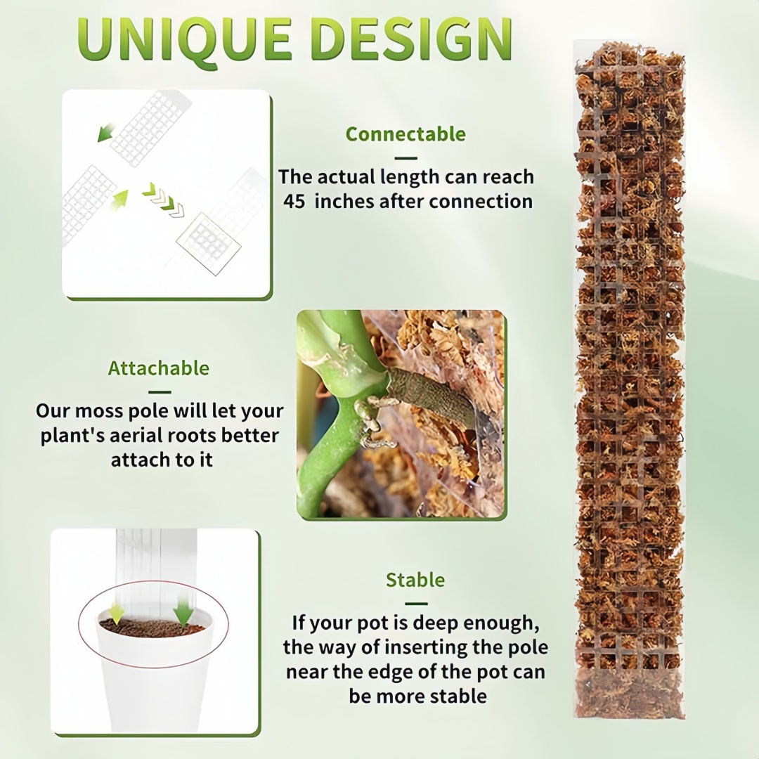 Moos Pole Kunststoff Pflanzens – Indoor Herb Garden Bewertung und Preis