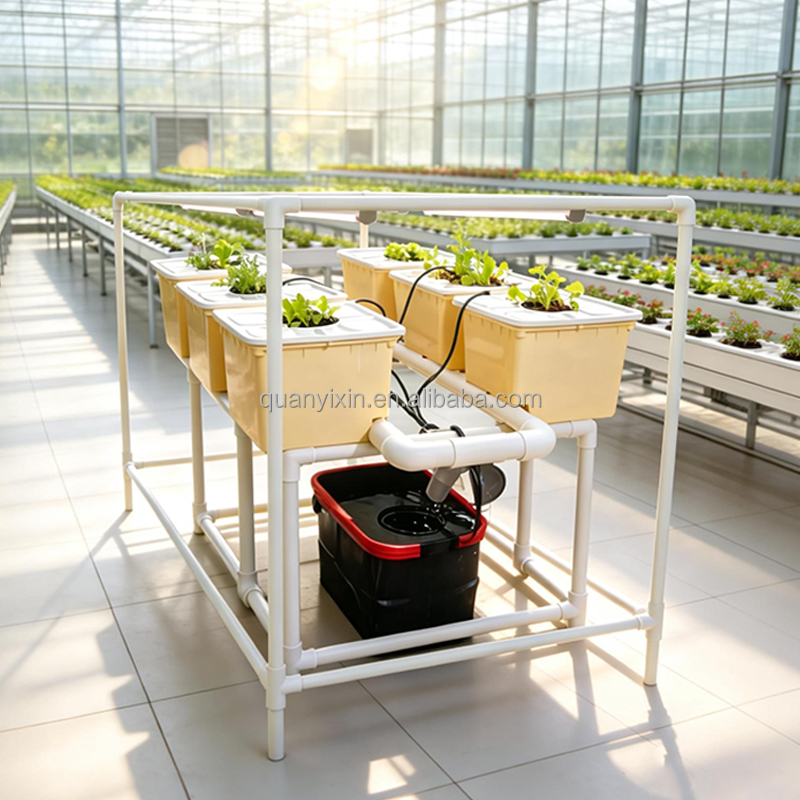 Dutch-Bucket-Hydroponik-System – Hydroponic Kit Bewertung und Preis