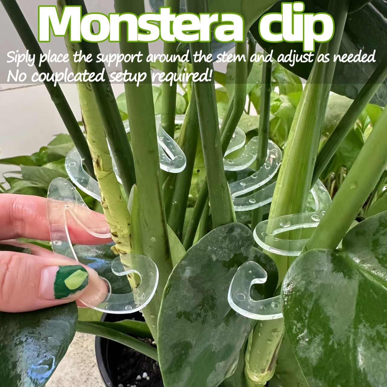 Flexible Kunststoff-Monstera-P – Vertical Planter Bewertung und Preis