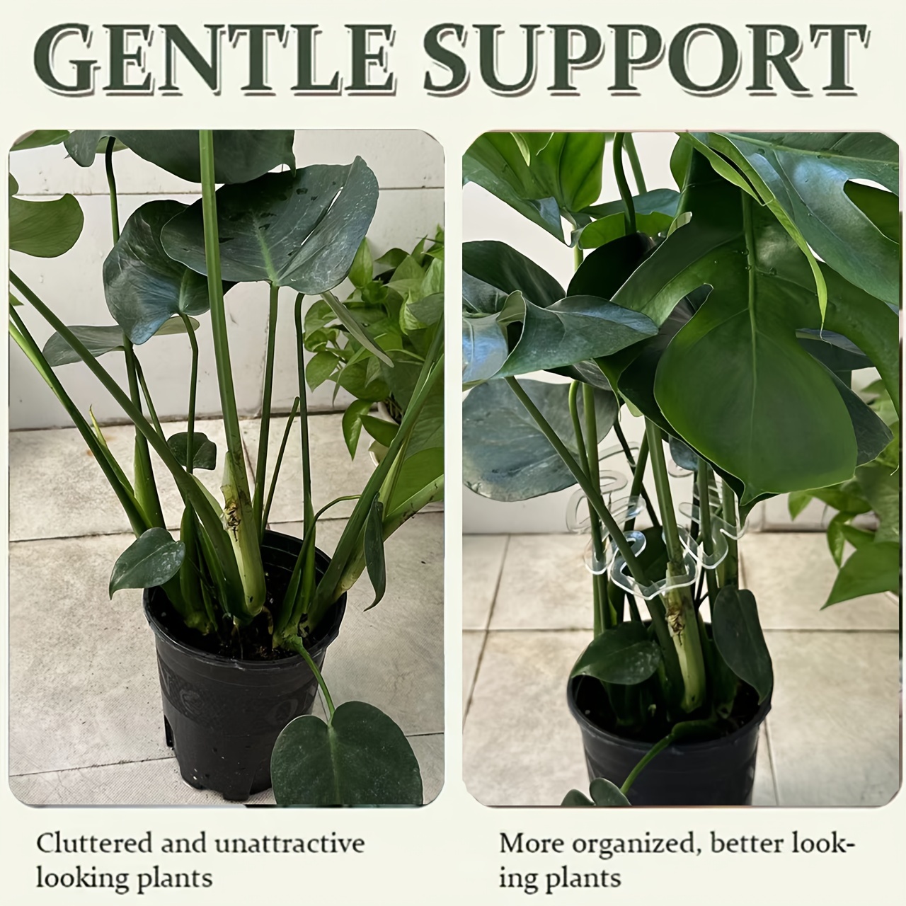 Flexible Kunststoff-Monstera-P – Vertical Planter Bewertung und Preis