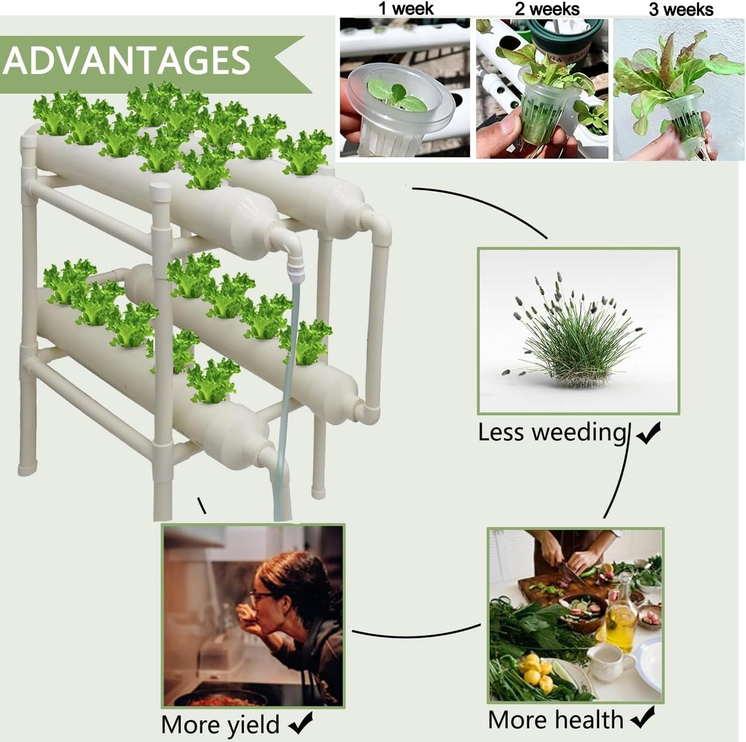 Hydroponisches Anbausystem 20  – Hydroponic Kit Bewertung und Preis