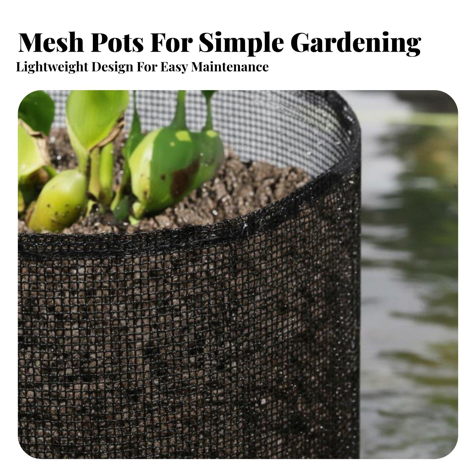 4-teiliges Set Wasserschilf-Pf – Plant Pot Bewertung und Preis