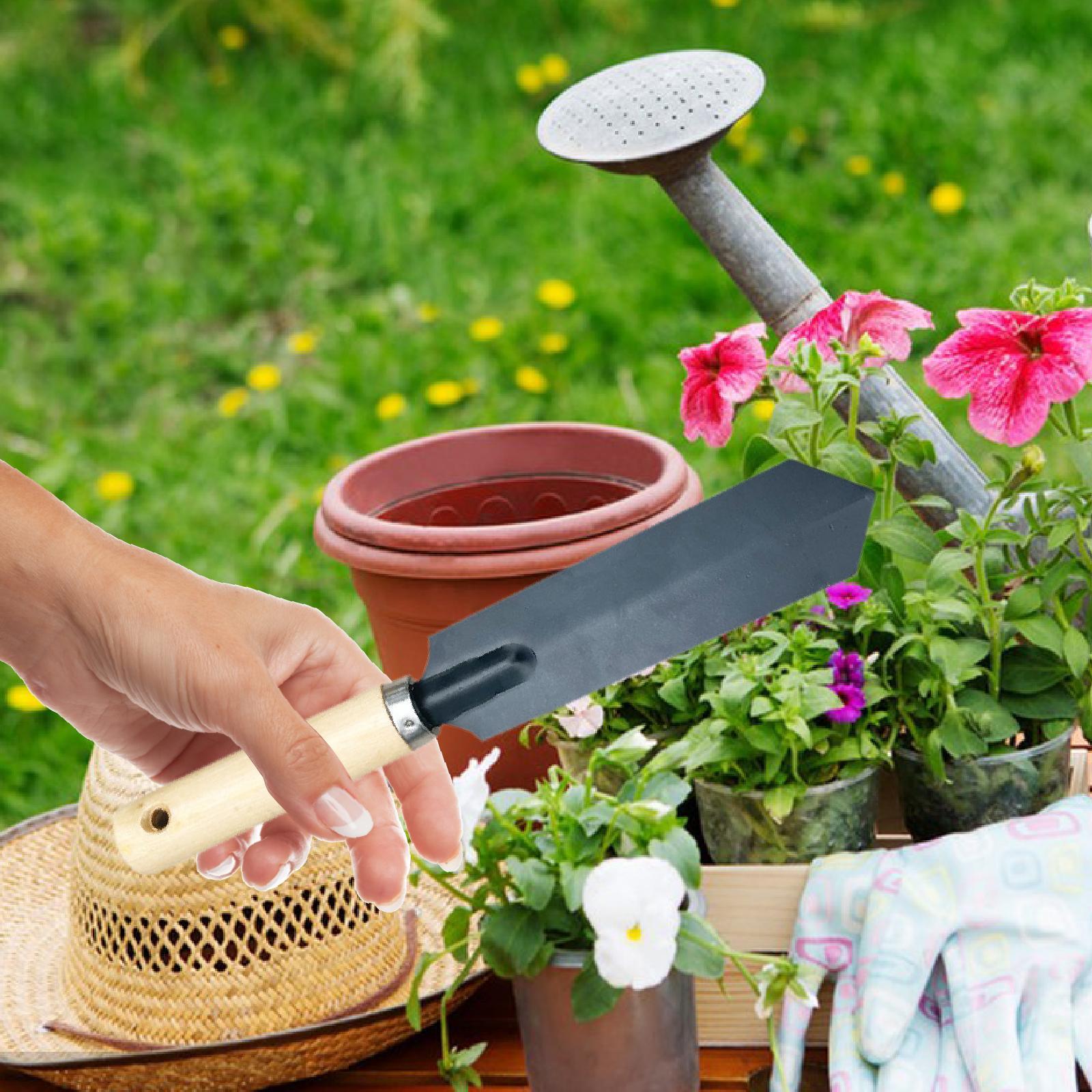 Kleines Gartenspaten-Grabwerkz – Trowel Garden Tools Bewertung und Preis