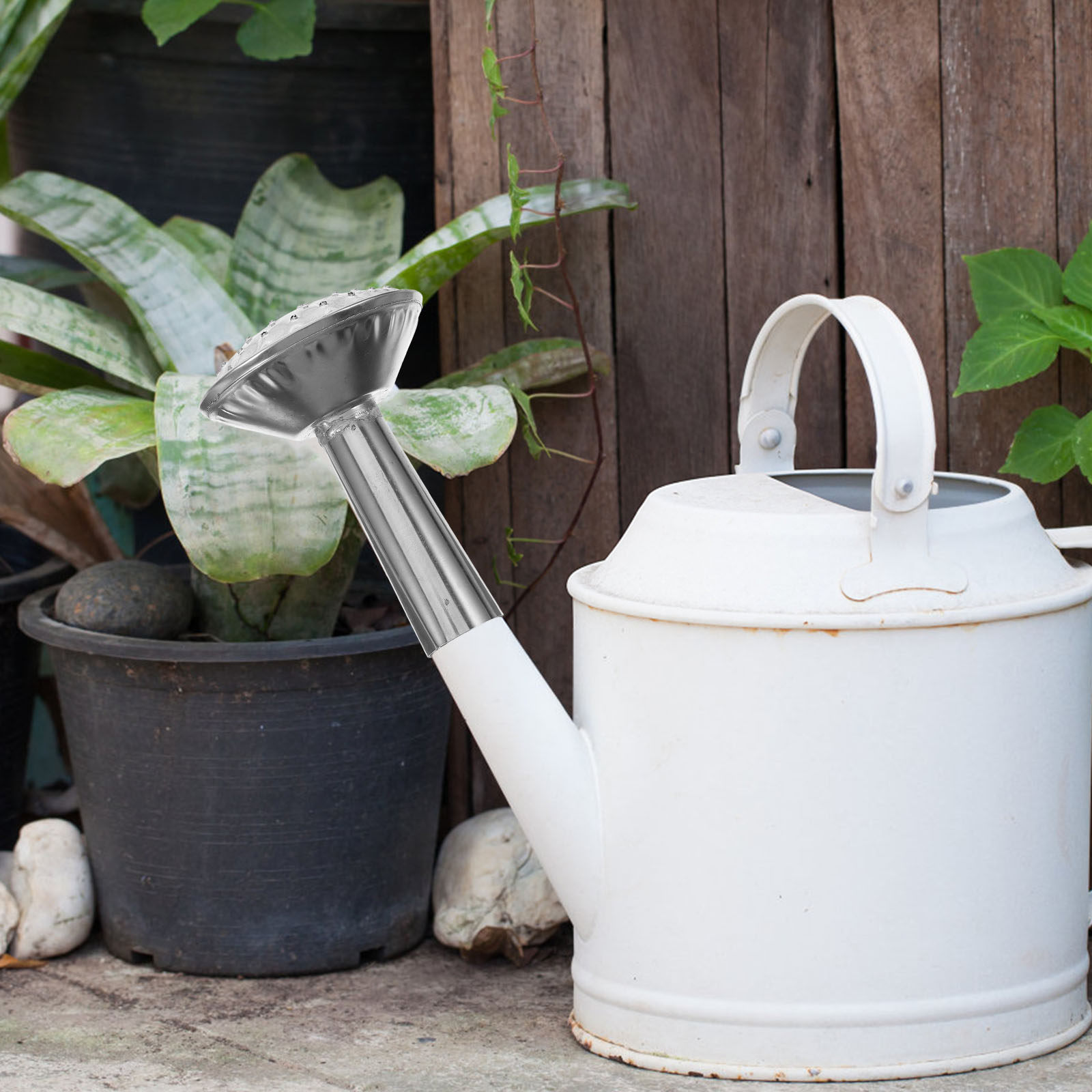 Edelstahl-Wassersprühkopf, lan – Watering Can Bewertung und Preis