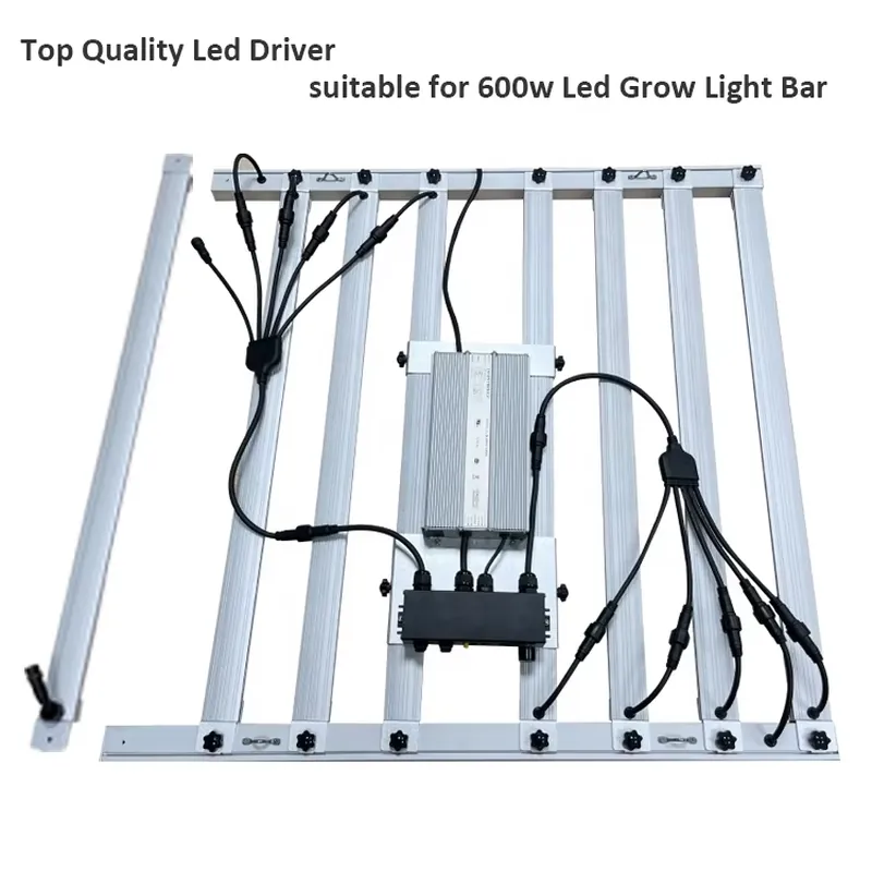 600W Grow-Light-Treiber Invent – Grow Light Led Bewertung und Preis