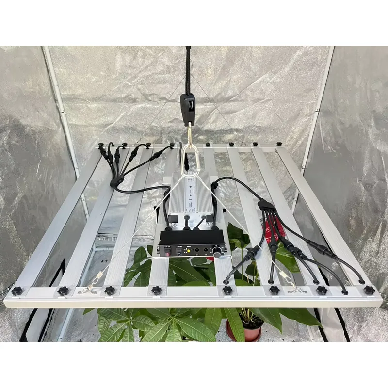 600W Grow-Light-Treiber Invent – Grow Light Led Bewertung und Preis