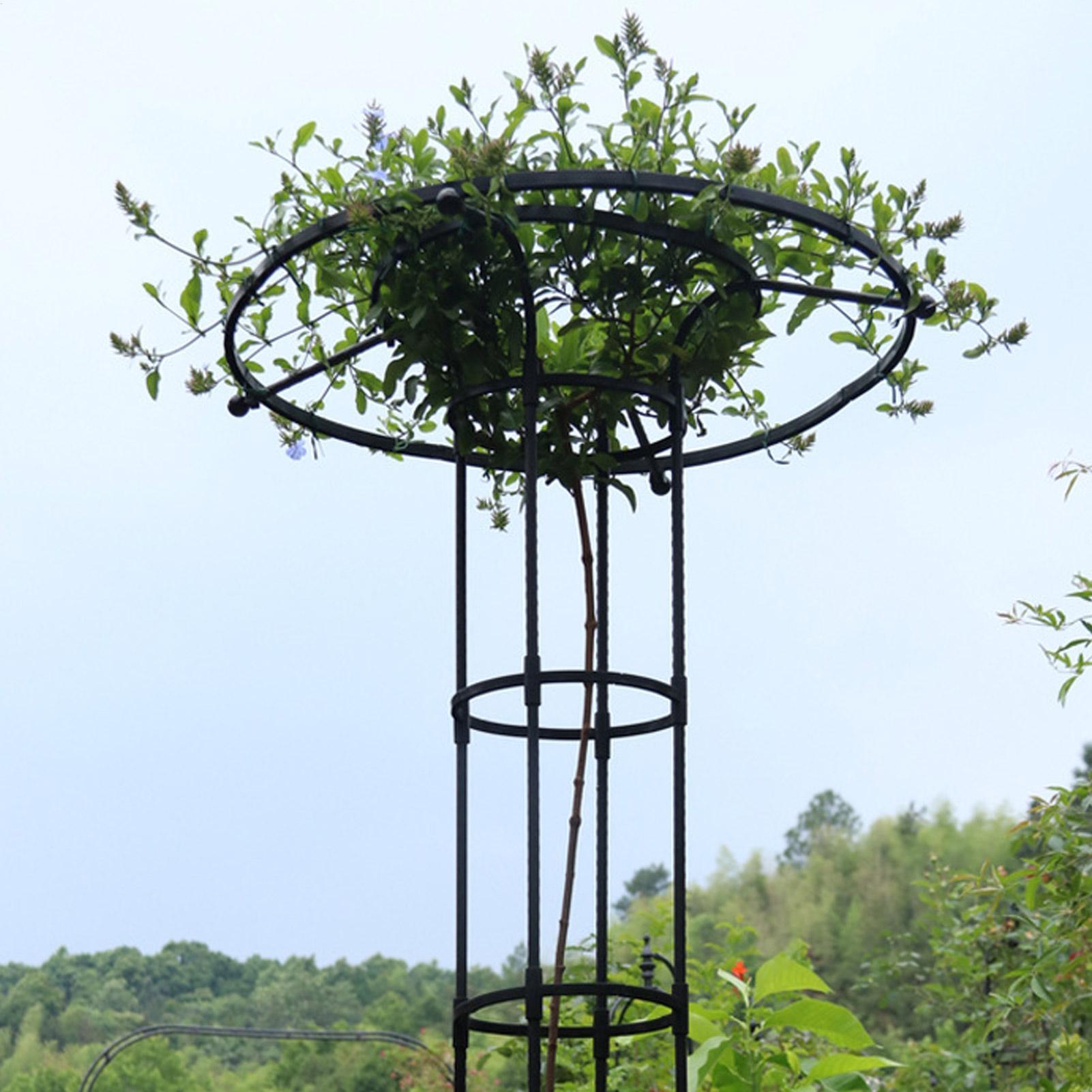 Garten-Spalier-Schirmständer f – Vertical Planter Bewertung und Preis