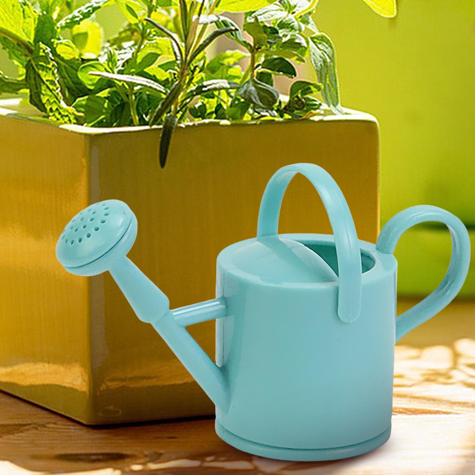Mini-Gießkanne für Kinder mit  – Watering Can Bewertung und Preis