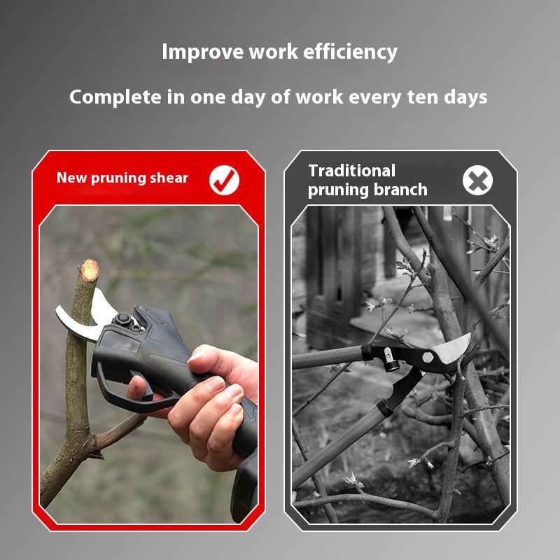 Schnurlose elektrische Gartens – Pruning Shears Bewertung und Preis