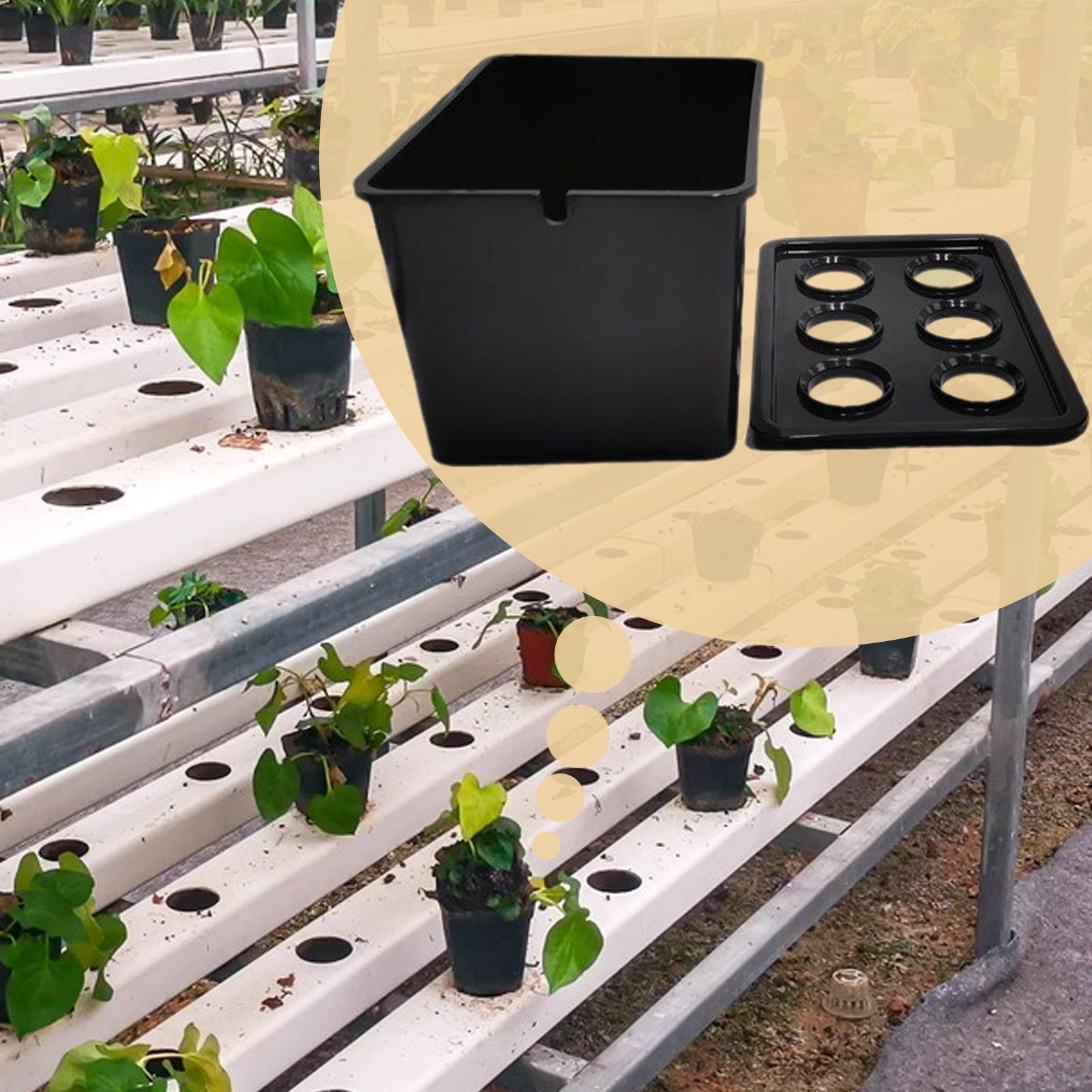 Hydroponisches Pflanzset, anfä – Hydroponic Kit Bewertung und Preis