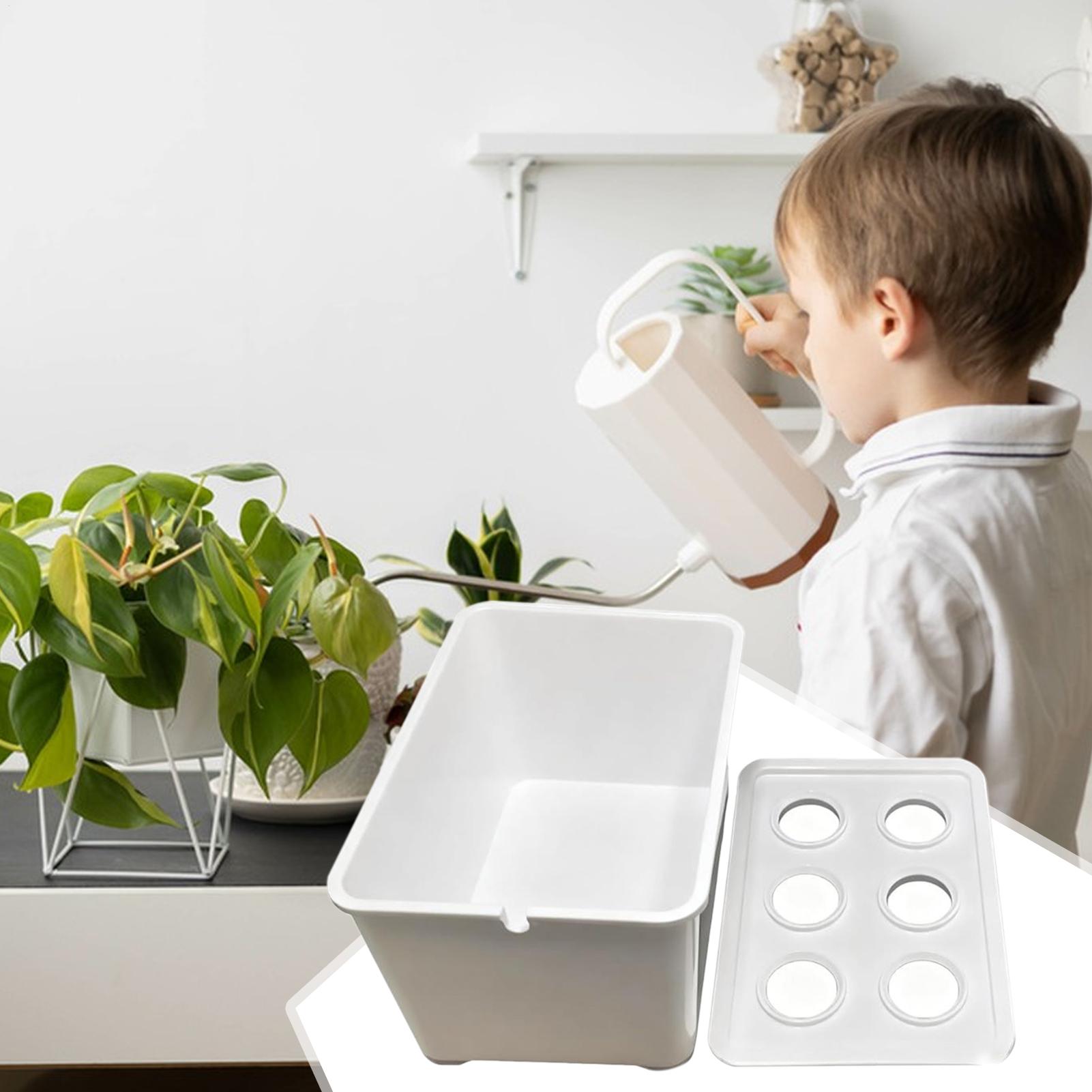 Hydroponisches Pflanzset, anfä – Hydroponic Kit Bewertung und Preis