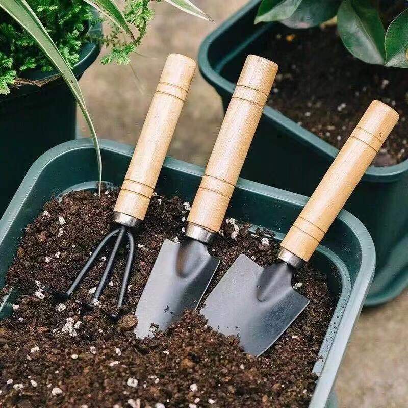 3PC/1Set Mini Gartengeräte Set – Indoor Herb Garden Bewertung und Preis