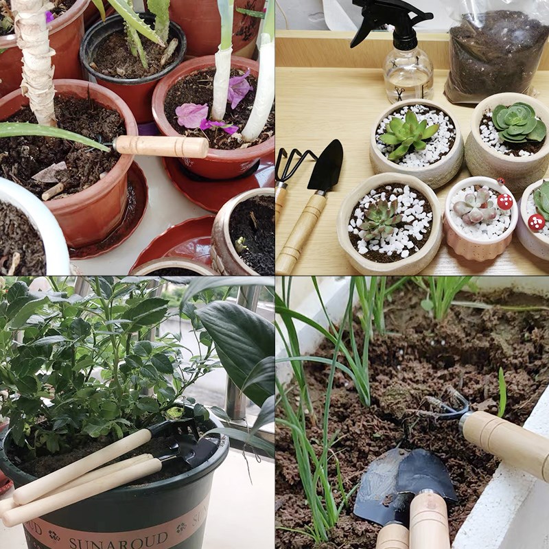 3PC/1Set Mini Gartengeräte Set – Indoor Herb Garden Bewertung und Preis