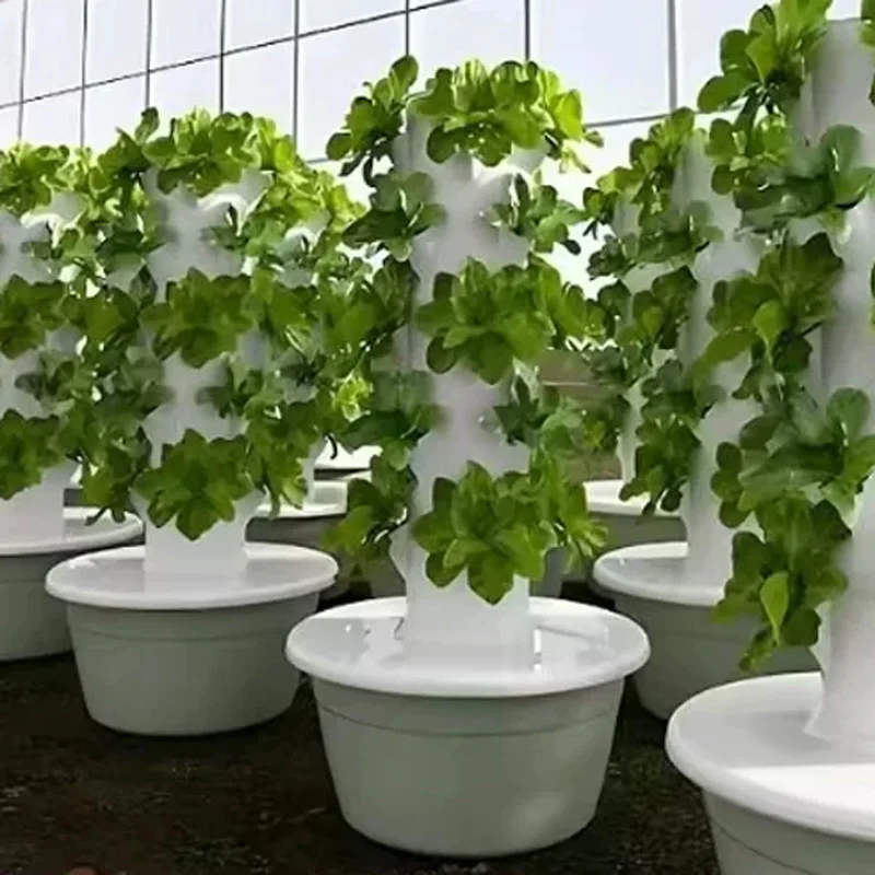 9/11-stufiges Hydroponisches A – Hydroponic Kit Bewertung und Preis