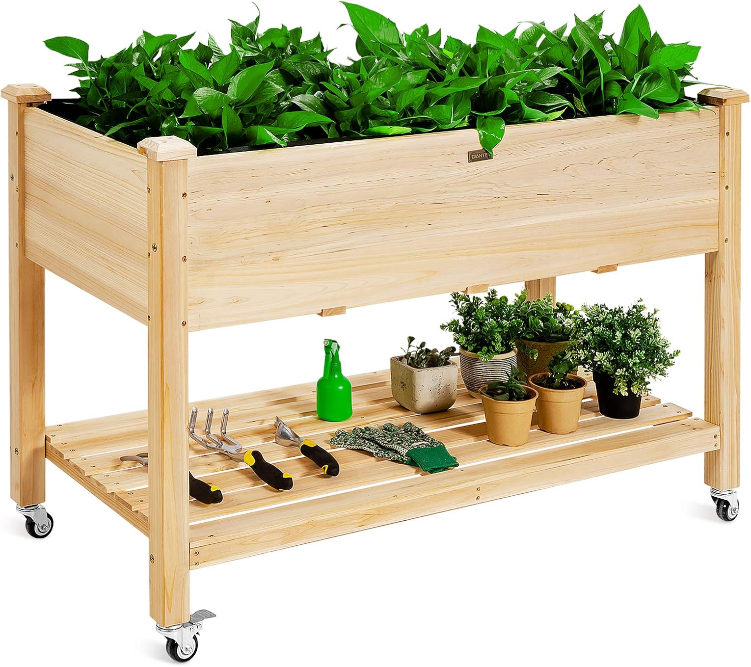 Holz-Hochbeet auf Rädern für G – Raised Garden Bed Bewertung und Preis