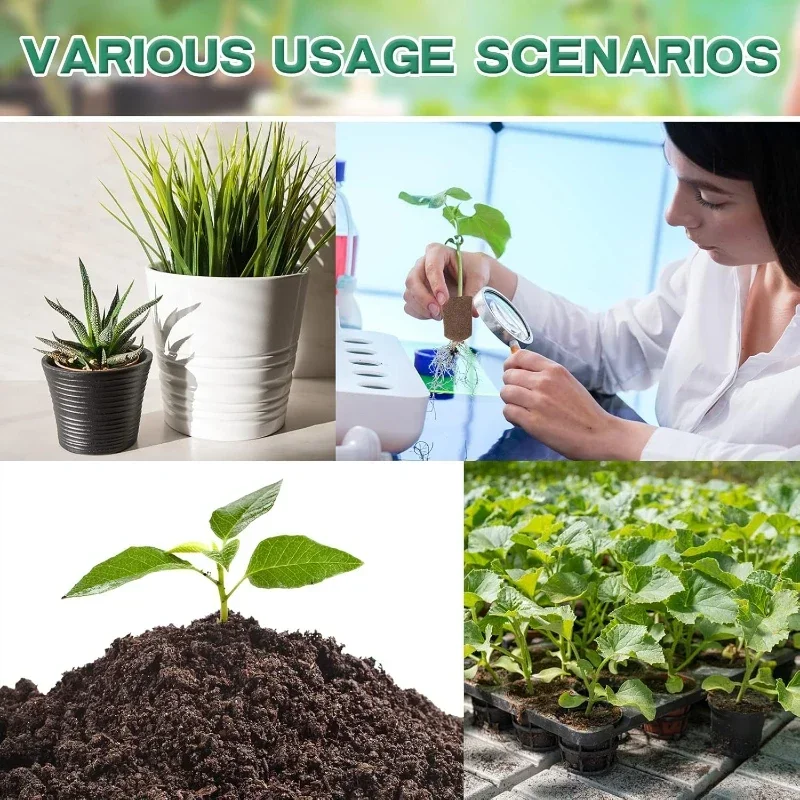 Setzling-Starter-Schwamm-Kit f – Hydroponic Kit Bewertung und Preis