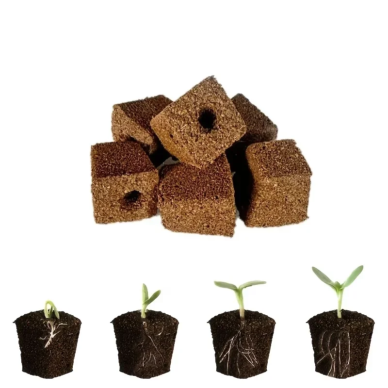 Setzling-Starter-Schwamm-Kit f – Hydroponic Kit Bewertung und Preis