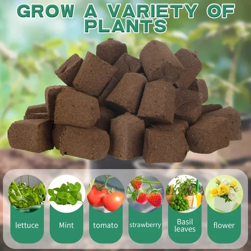 Setzling-Starter-Schwamm-Kit f – Hydroponic Kit Bewertung und Preis