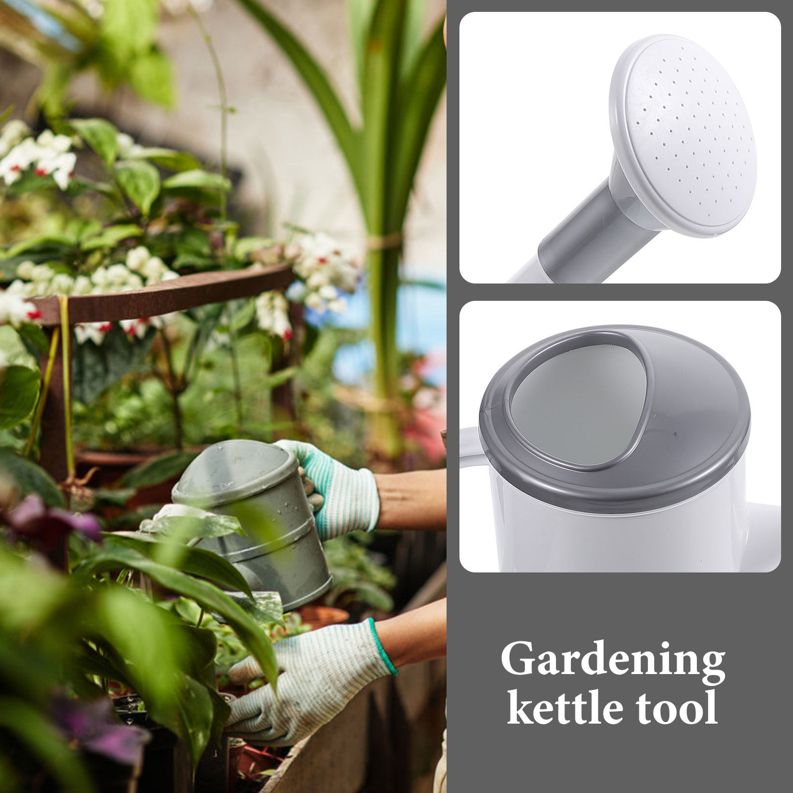 Haushalts-Gießkanne mit langem – Watering Can Bewertung und Preis