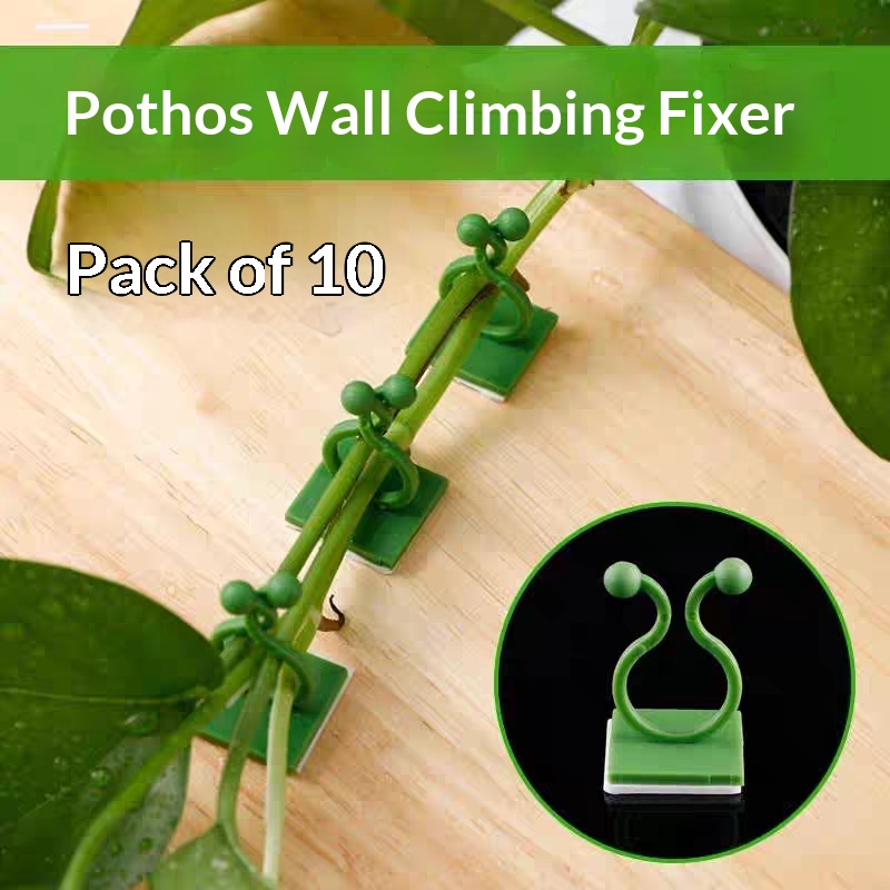 Selbstklebende Pflanzen-Klette – Indoor Herb Garden Bewertung und Preis