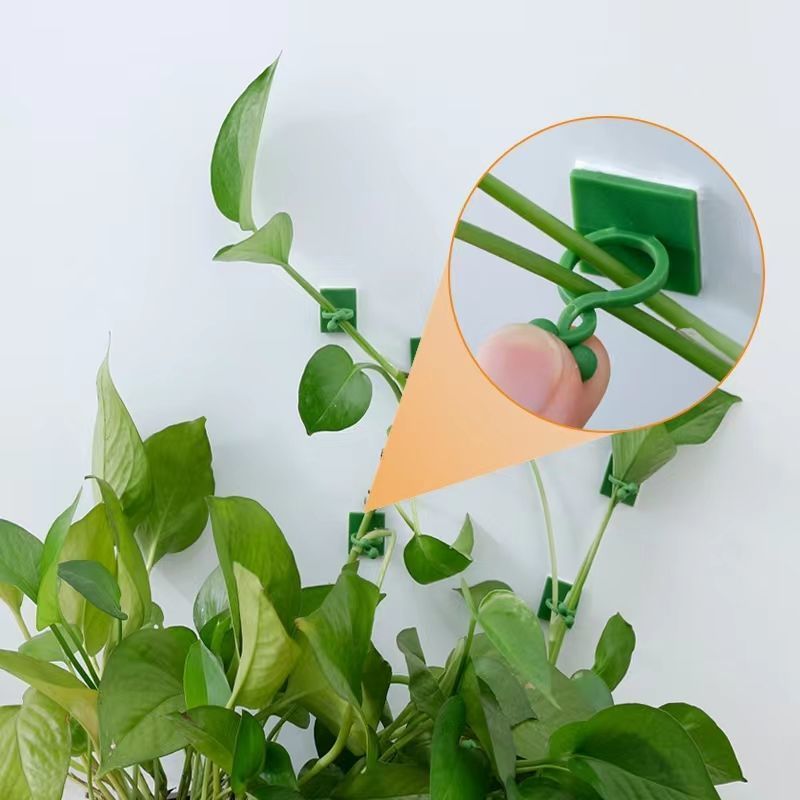 Selbstklebende Pflanzen-Klette – Indoor Herb Garden Bewertung und Preis